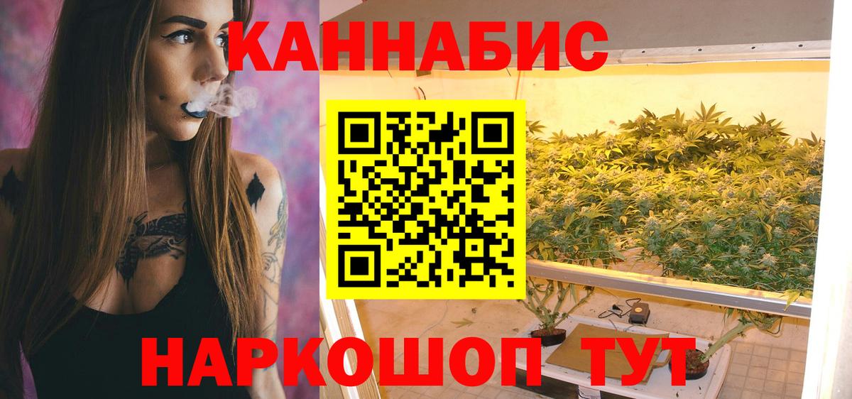 Старая Русса  Бошки марихуана план  Шишки марихуана семена  Шишки марихуана OG Kush  Вход с VPN 